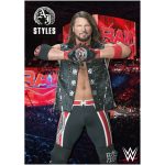 WWE AJ Styles Crowd Poster- Unframed A3