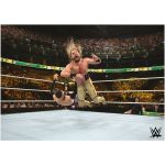 WWE MITB Seth Rollins Action Poster - Unframed A2