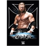 WWE Triple H Graphic Poster - Unframed A3
