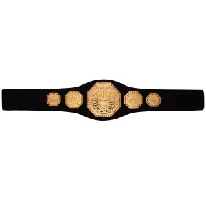 AAA Mega Championship Toy Title Belt